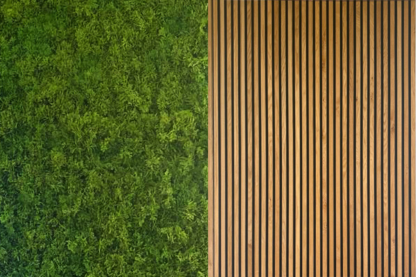 Set2Show Model 2 - A