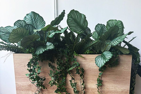 Set2Show Model 2 - A